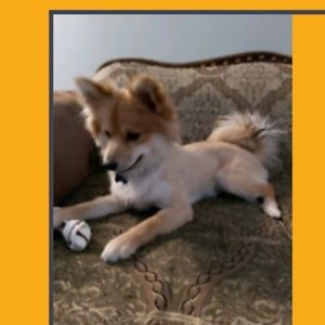 Meet your Posher, Carole